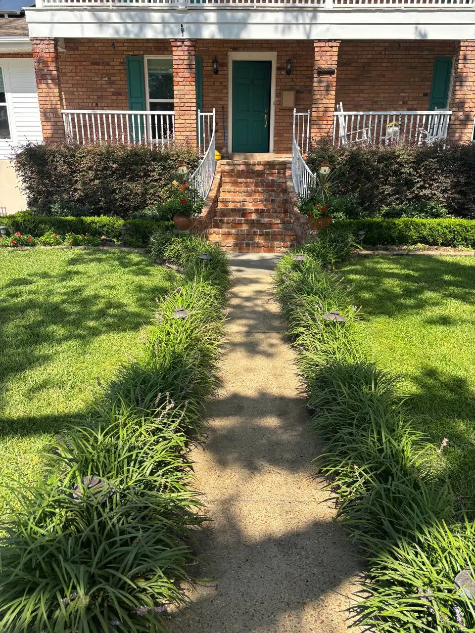 A concrete walkway lined with ground cover leading up to brick steps with white railings and a green front door.