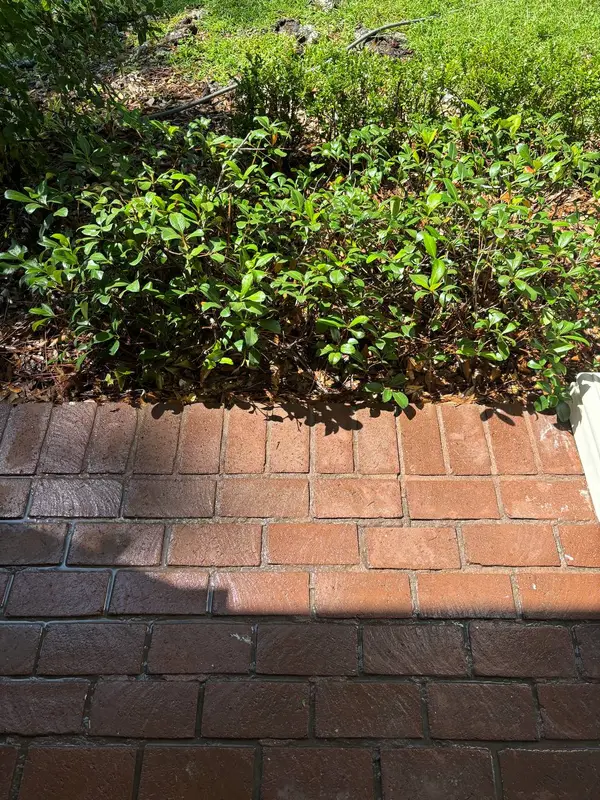 A red brick patio crossed by a straight shadow, with shrubs along the far edge.