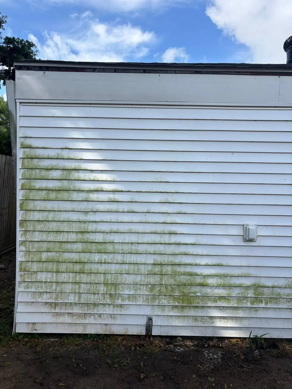 White horizontal siding heavily coated in green algae, with an electrical outlet box on the right and bare soil below.