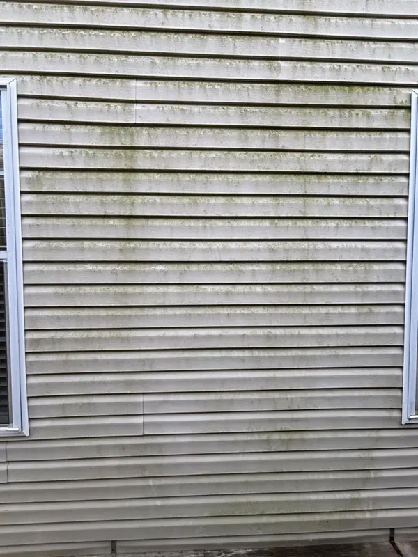 Beige siding between two white trimmed windows, banded with green and grey algae across the panels.