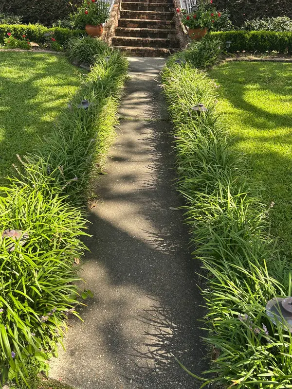 A concrete walkway between ground cover leading to brick steps with white railings and two red flower pots.