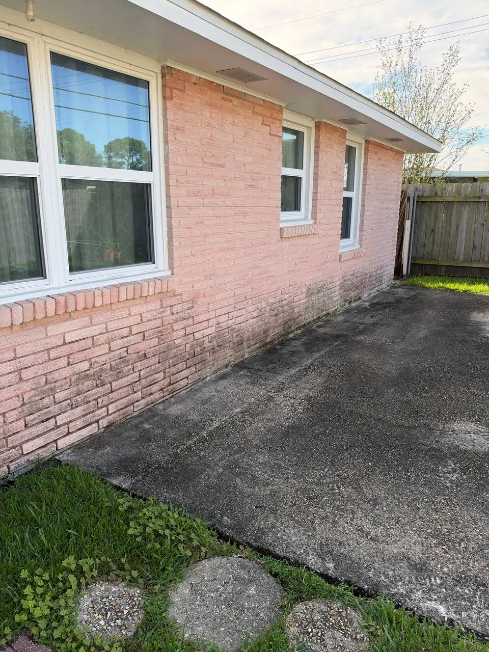 A pink brick wall with two white windows and mildew staining near the base, with a wooden fence beyond.