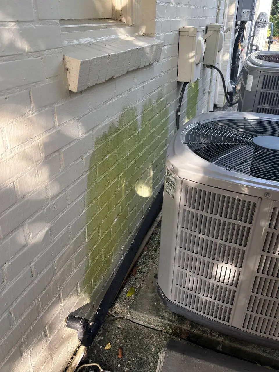 A tan sided gable wall with heavy green algae spreading from the roofline down past a roll up door.