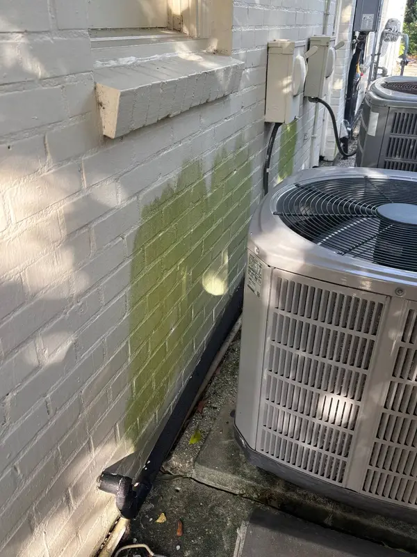 A tan sided gable wall with heavy green algae spreading from the roofline down past a roll up door.