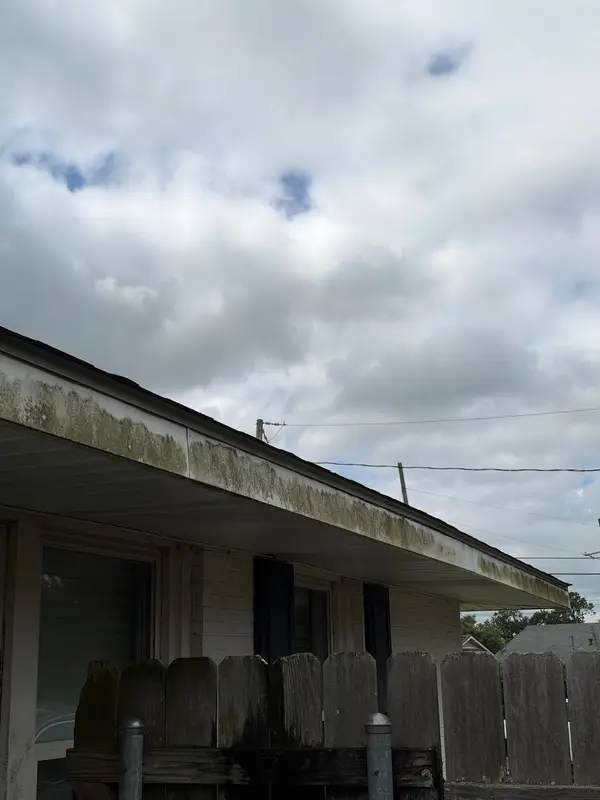 A white soffit and fascia board stained green above a wooden fence and a white brick wall with shuttered windows.