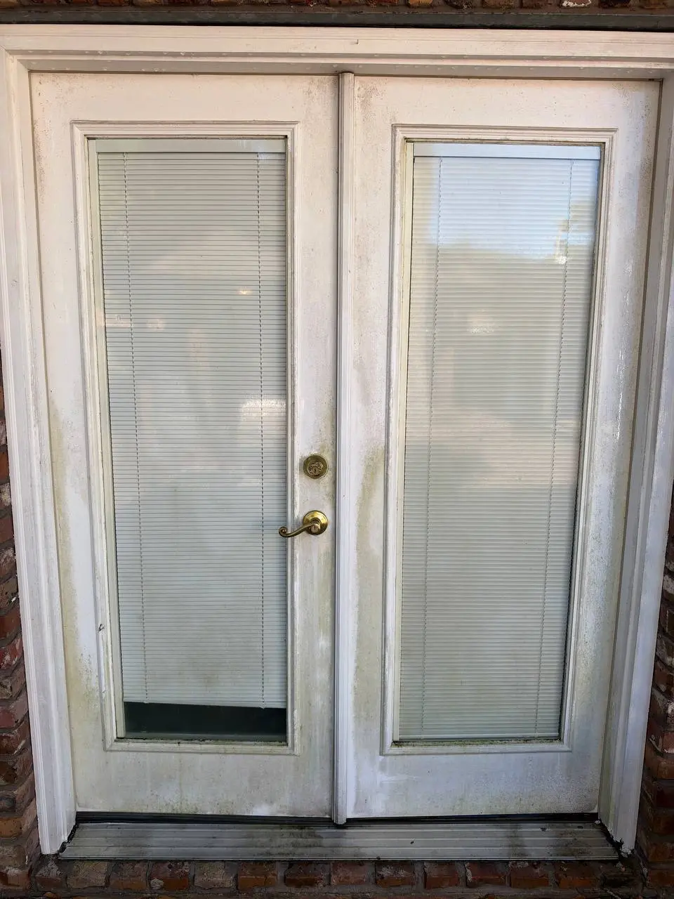 White French doors with yellow green growth along the lower panels, set in a red brick wall.
