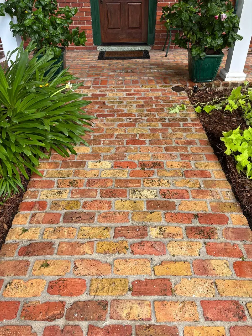 After cleaning: a clean brick walkway between potted plants leading up to a dark wood door.